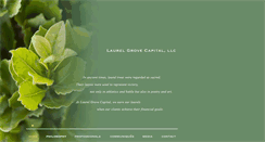 Desktop Screenshot of laurelgrovecapital.com